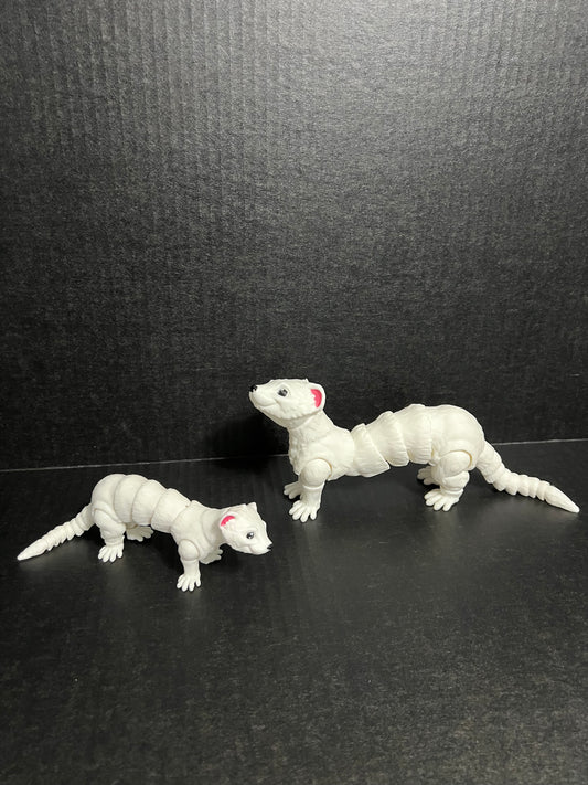 Albino Ferret