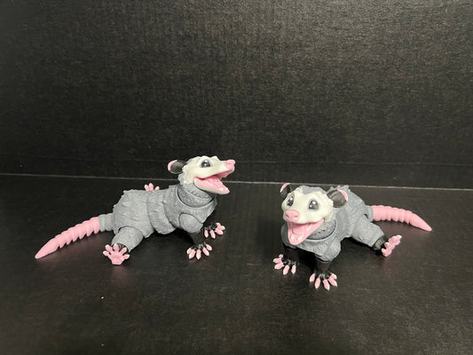 Possum